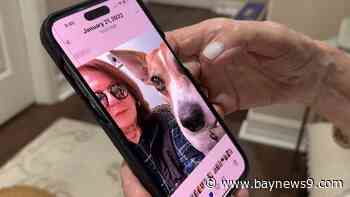 Florida lawmakers unanimously pass Dangerous Dogs bill, awaits Gov. DeSantis signature