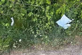 Evri apologies to East Yorkshire woman who 'found missing parcel empty in bush'