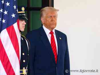 Trump: "Gli Houthi si sono arresi".  La replica: "Stop a raid navi Usa, non contro Israele"