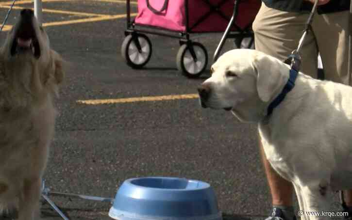 Dog parents invited to Sandia Peak Tram for free pet-friendly event