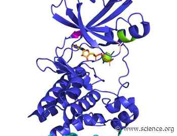 An atlas of bacterial serine-threonine kinases reveals functional diversity and key distinctions from eukaryotic kinases | Science Signaling