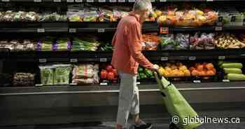 ‘Stretching their dollars’: New study says Canadians struggle with food prices