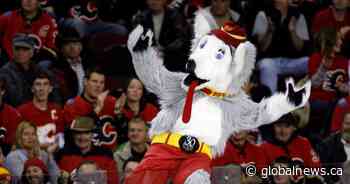 Calgary Flames’ mascot Harvey the Hound on the ballot for the 2025 Mascot Hall of Fame