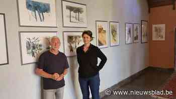 Kunstenares Annemie Van Breda krijgt vier jaar na overlijden eerbetoon met overzichtstentoonstelling: “Schetsboek was haar fototoestel”