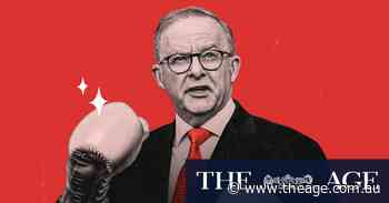 They came from left and right. Albanese defeated them all. Now, for the championship bout