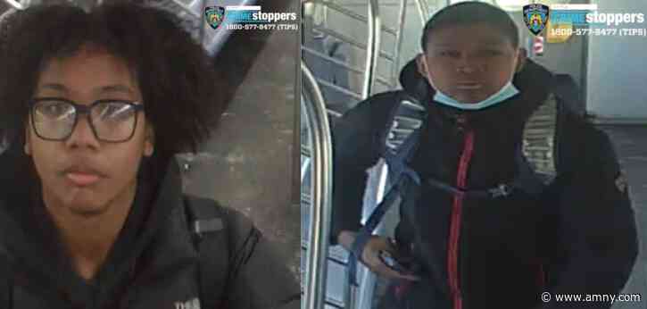 Mask-wearing vandals in the Bronx go on subway door demolition derby: cops