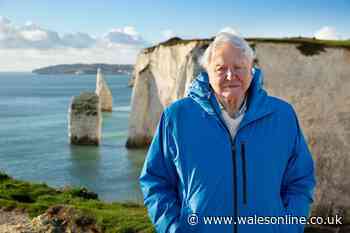 Sir David Attenborough makes powerful plea as he launches his new film Ocean