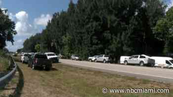 Wildlife officers kill 3 black bears after bear killed a man and dog in SW Florida