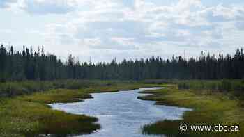 Advocates criticize Ontario bill to create zones where projects are exempt from laws