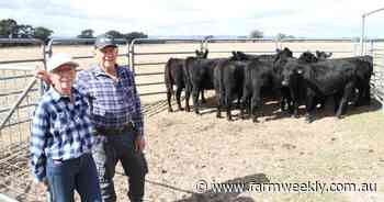 Prize-winning heifers have settled into their new home in the south