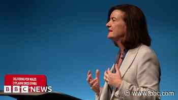 Senedd election could be seismic, expert says