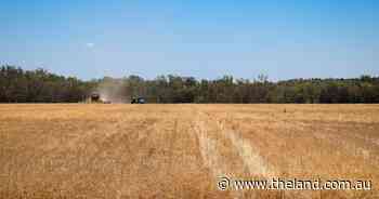 Weak demand from China slowing down Australian wheat exports