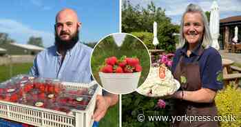 'People feel like part of the family' - popular farm shop and café in Press awards