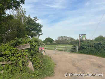 Battle to save environmentally-friendly campsite from 'green mitigation' for Lower Thames Crossing