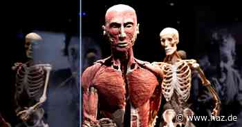 Hannover: Mehr als 85.000 Menschen sehen sich  „Körperwelten“-Schau in der Alten Druckerei an