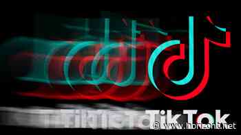 TikTok-Studie: So kommen Marken in Social Media gegen die "Creative Fatigue" an