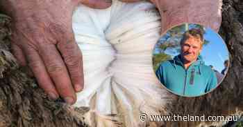 Shearer secures top honours at 95th annual Berridale Merino Ewe competition