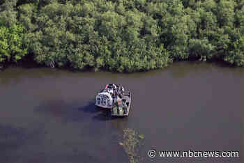 Alligator near Florida lake attacks and kills woman in small boat, authorities say