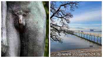 Sexuelle Belästigung in der BRK-Jugendarbeit? Warum der Fall jetzt zum Staatsanwalt wandert