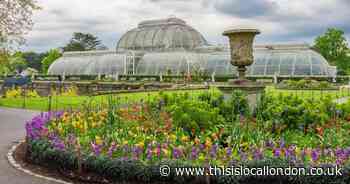 Save on a visit to London’s Kew Gardens and Kensington Palace