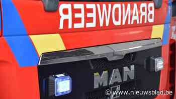 Auto gaat in vlammen op in Lommel