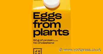 York vegan company in major plant based egg supply deal