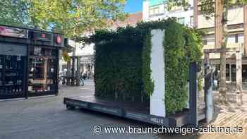 Kurios: Grüne Wand steht in Wolfsburger Porschestraße