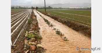 "Uitdagend seizoen door uitzonderlijke weersomstandigheden"