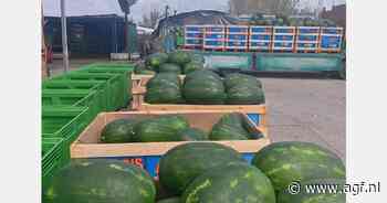 "Grieks watermeloenseizoen begint met goede oogst en prijzen"
