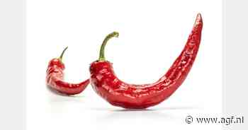 RASFF: hoge gehalten aan chloorpyrifos en thiabendazol in 'cowhorn' pepers uit Frankrijk