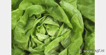 Franse slaprijzen fors omhoog