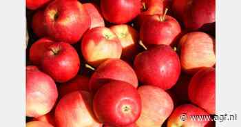 "Dagelijks een appel draagt bij aan gezonder ouder worden"