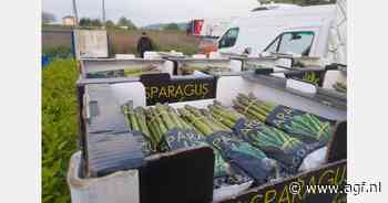 "Prijs Griekse groene asperges blijft mogelijk ongewijzigd op €2,50 per kg"