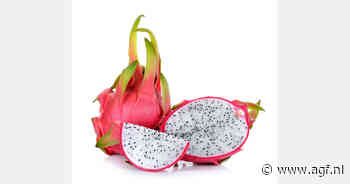 Spanje belangrijkste bestemming voor Peruaans dragonfruit