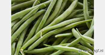 Sperzieboon vs. haricot vert: uiterlijk gelijk, maar prijs verdubbeld