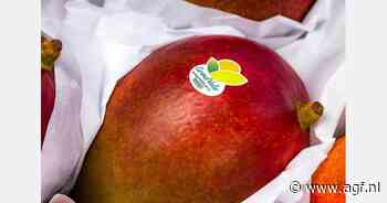 Braziliaanse mango's jaarrond beschikbaar