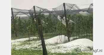 Zware hagel treft Oostenrijkse fruitteelt