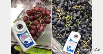 Egyptisch druivenseizoen goed van start