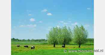 Verkenning van natuurinclusieve kansen in biologische sector