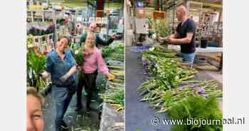 "Veel moeders zijn zich bewust van welke bloemen ze kopen"
