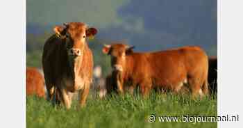 Gebruik het, maar verlies het niet: genetische variatie basis duurzame dierlijke populaties