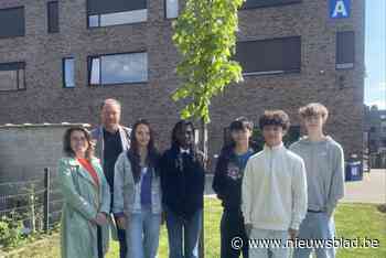 Middenschool plant vredesboom voor verdraagzaamheid