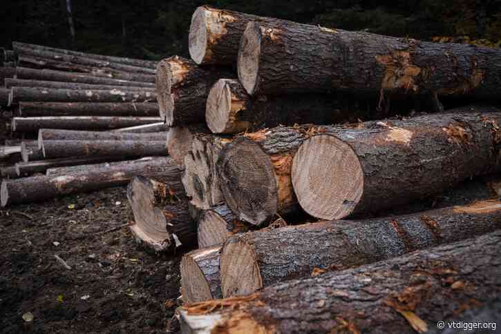 Vermonters react to the Trump administration’s guidance for increased logging on national forests
