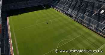 Newcastle United fans invited to zip line from top of St James' Park onto pitch