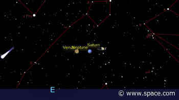 Venus, Saturn and Neptune align in the predawn sky this week: Here's how to spot them