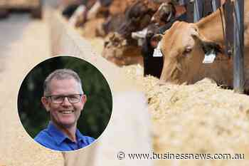 Forrest's Harvest Road appoints new chief executive