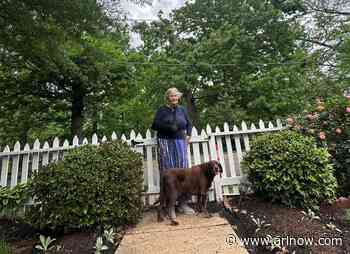 85-year-old ‘narrowly escaped’ falling tree limb in Virginia Square park