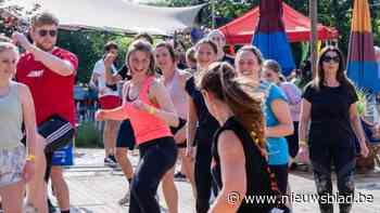 TurnOutdoor en Workout Wonderland: Studenten Thomas Morde zetten Turnhout in beweging