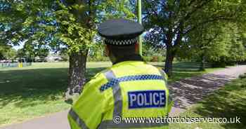 Knife-wielding male attacks teenagers in park