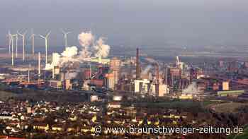 Papenburg, Performance und kurz mal Panik bei der Salzgitter AG